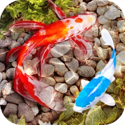 Icône de 3D Fish Tank Live Wallpaper